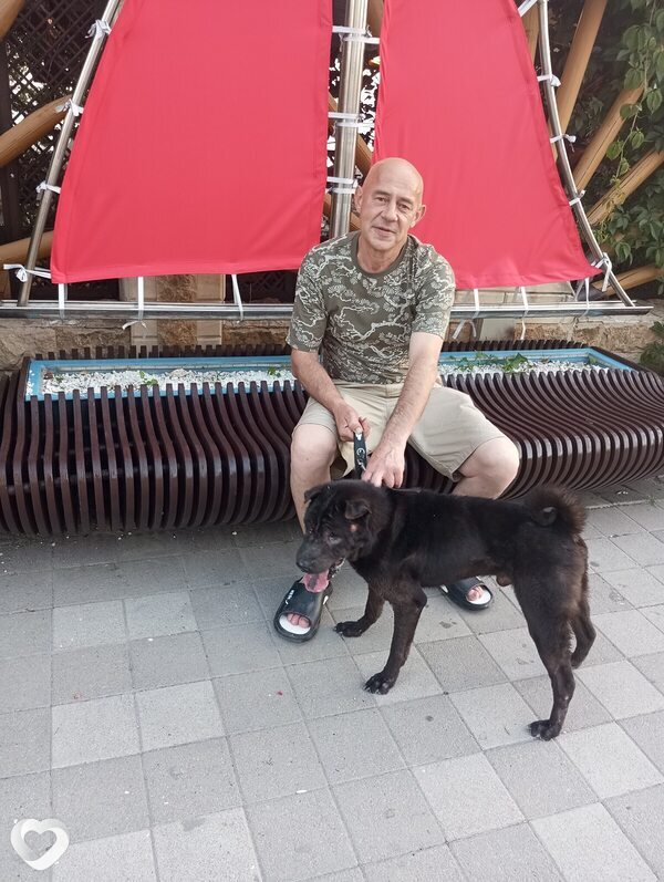 Александр, 49, Геленджике — анкета №2709585