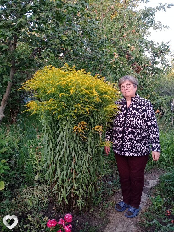 Роза, 62, Уфе — анкета №2716428