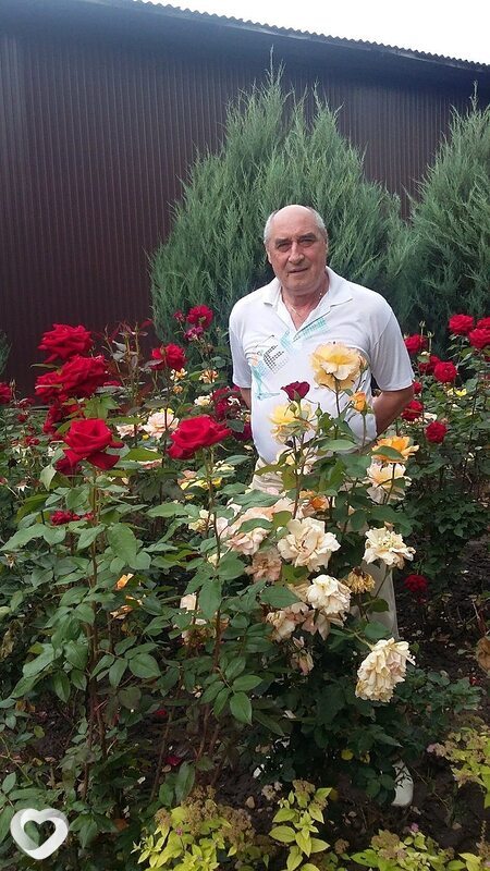 Владимир, 62, Кропоткине — анкета №2717132