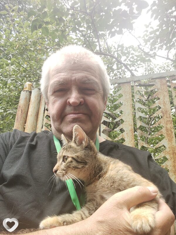 Владимир, 61, Липецке — анкета №2721645