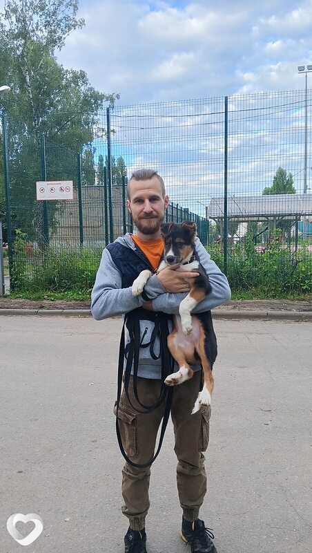 Родион, 32, Липецке — анкета №2726743
