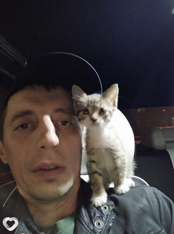 Александр, 45, Каменске-Уральском — анкета №2729106