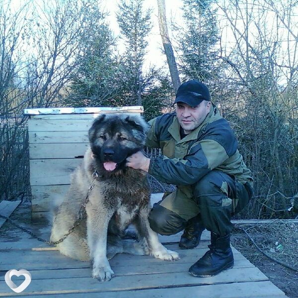 Дмитрий, Балашов