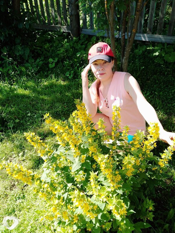 Евгения, 50, Сыктывкаре — анкета №2736580