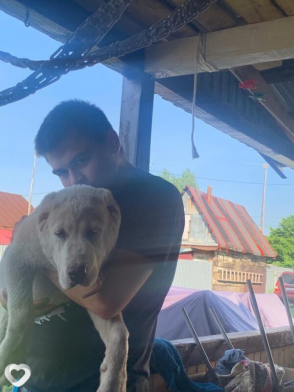 Алексей, 19, Уфе — анкета №2736629
