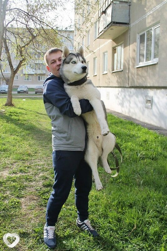 Александр, 33, Каменске-Уральском — анкета №2738867