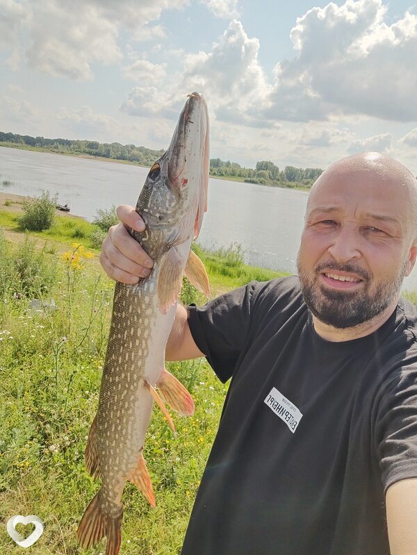 Ed, 39, Екатеринбурге — анкета №2743691