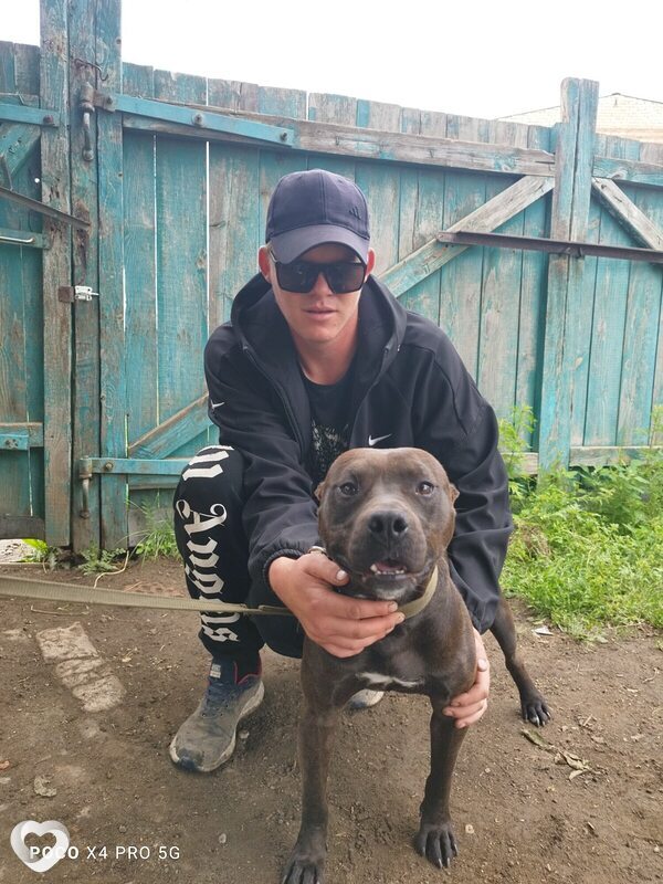 Дмитрий, 27, Иркутске — анкета №2746703