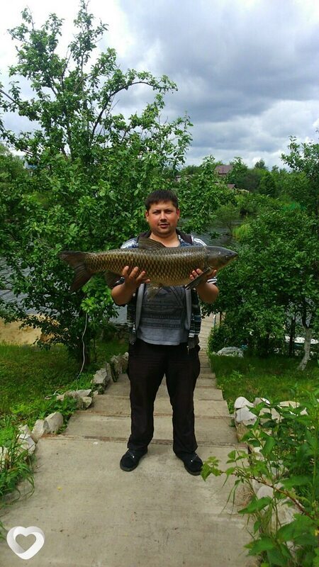 Алексей, 38, Воронеже — анкета №2752506