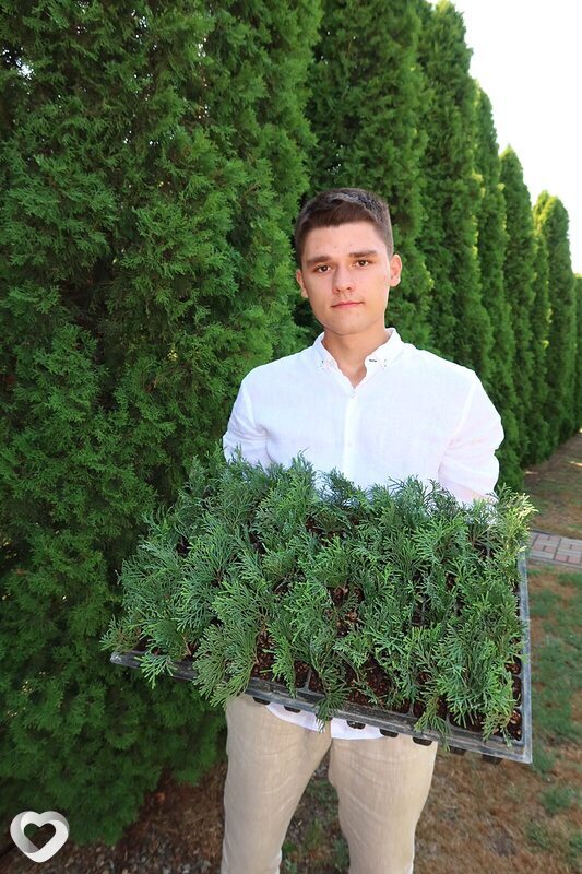 Гена, Архыз