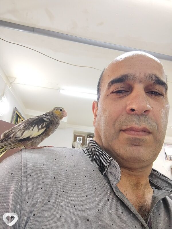 Mahir, 50, Баку — анкета №2757618