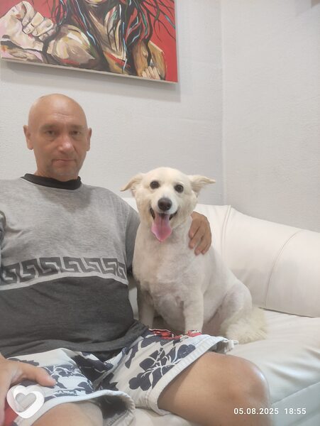 Михаил, 53, Минске — анкета №2759789