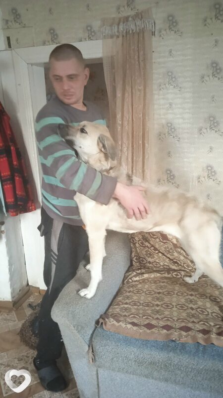 Сергей, 34, Пскове — анкета №2760941