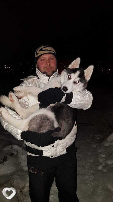 Александр, 39, Ярославле — анкета №2761395