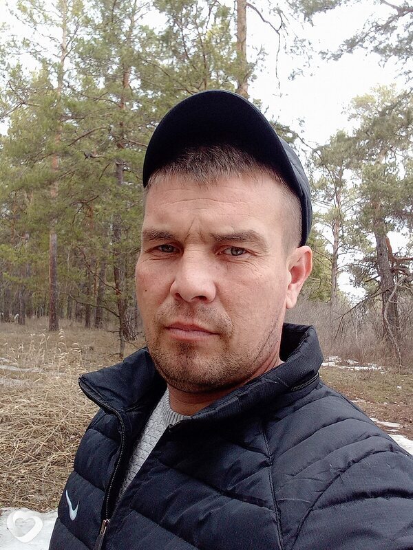 Андрей, Кошки
