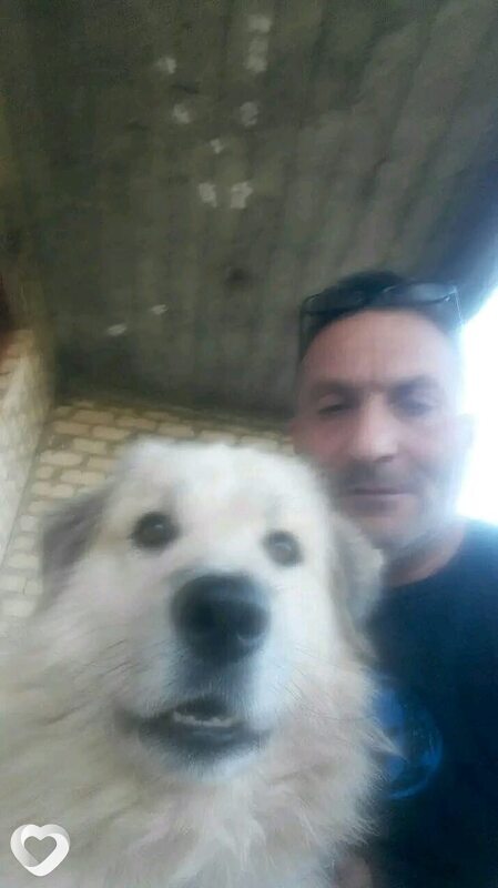 Edik, 45, Тбилиси — анкета №2763399