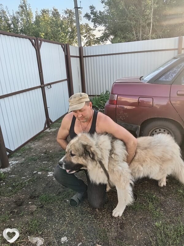 Андрей, 41, Отрадном — анкета №2764836