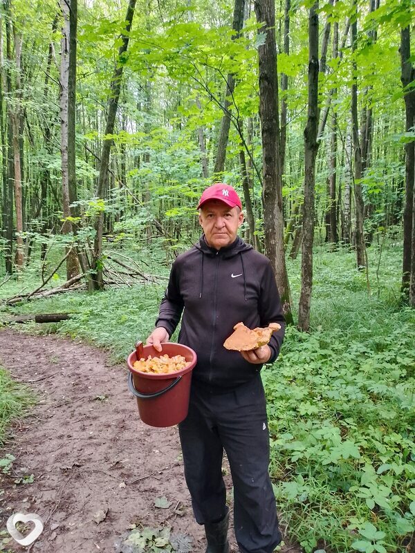 Алексей, Лаишево