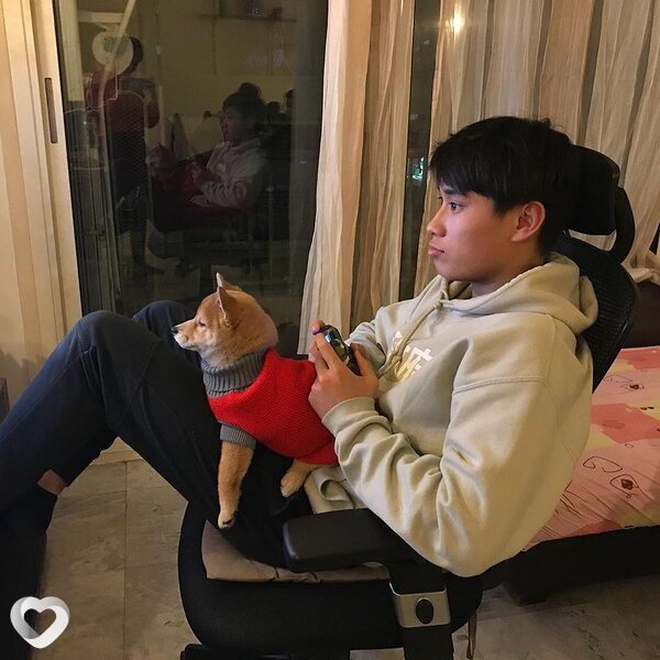 Арыстан, 23, Капчагае — анкета №2771382