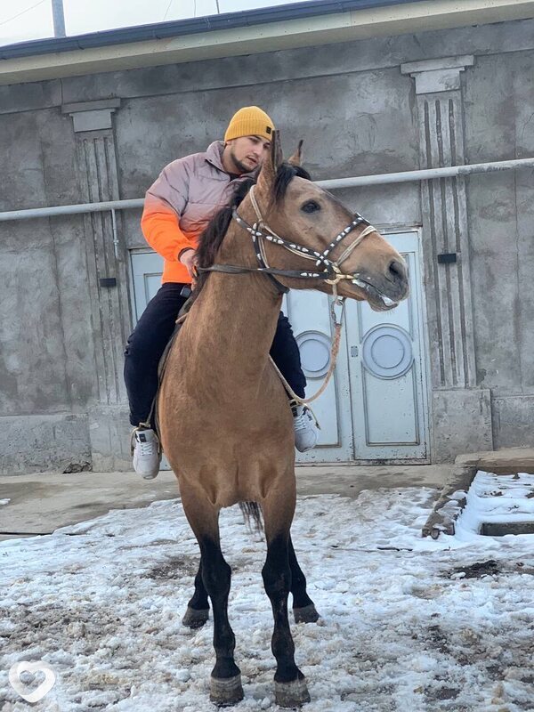 Davron, 32, Ташкент — анкета №2772612