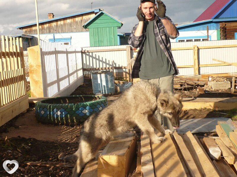 Костя, Тулун