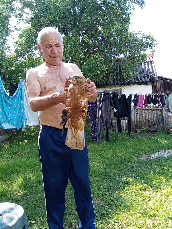 Василий, Апшеронск
