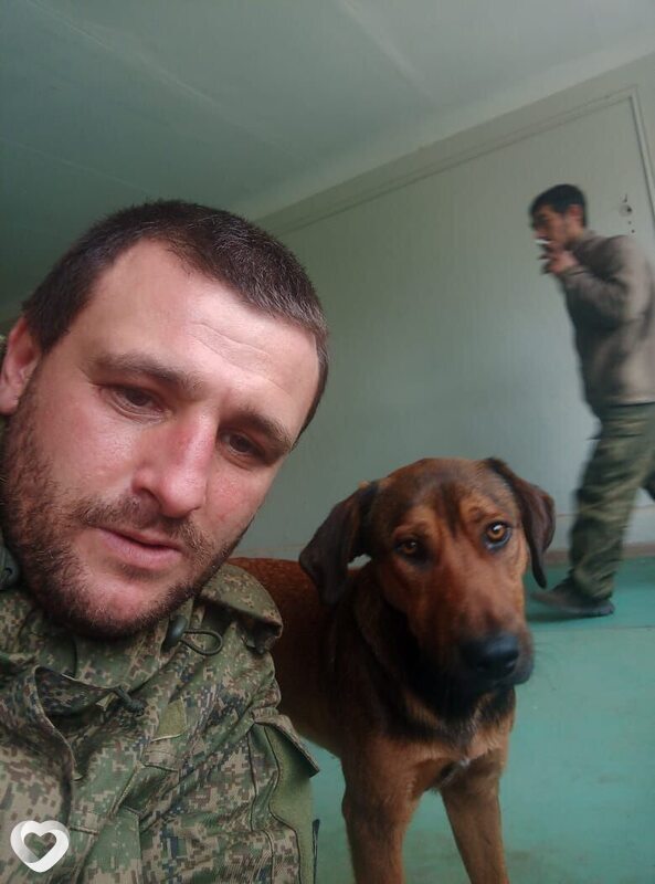 Максим, 37, Краснодаре — анкета №2777277