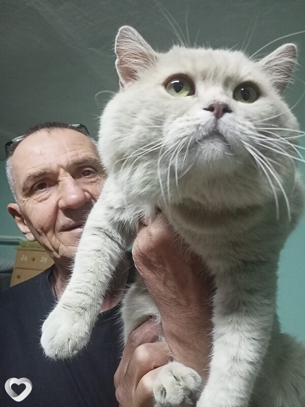 Дмитрий, 64, Волгограде — анкета №2778722
