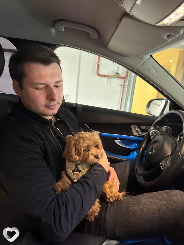 Ruben, 28, Санкт-Петербурге — анкета №2791196