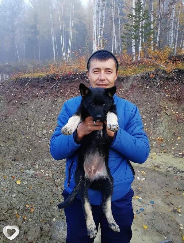 Зико, Кингисепп