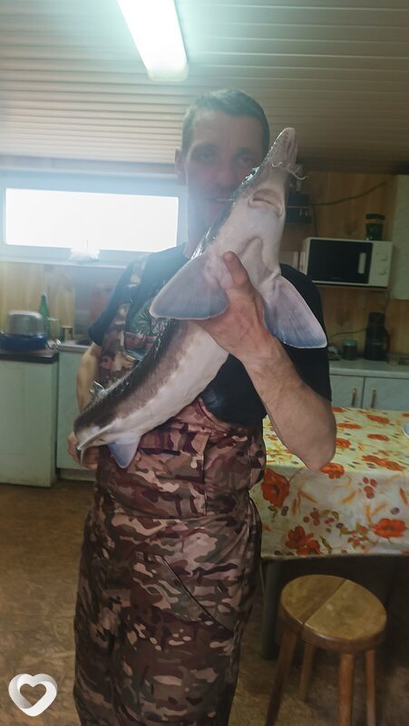 Alexander, 48, Ровеньках — анкета №2805834