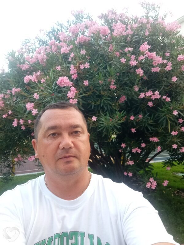 Радик, 43, Ульяновске — анкета №2808162