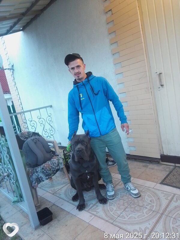 Максим, 31, Шахтах — анкета №2808809