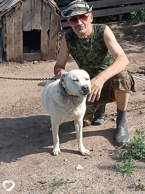 Виталей, 61, Павлодаре — анкета №2808874