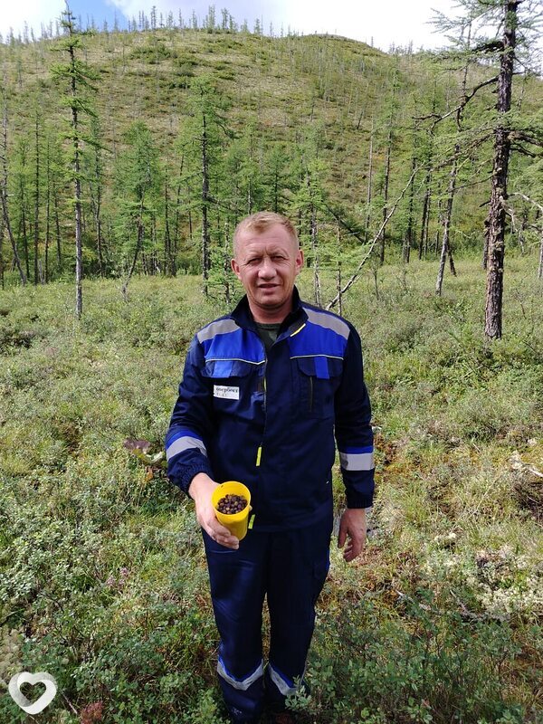 Сергей, Пласт