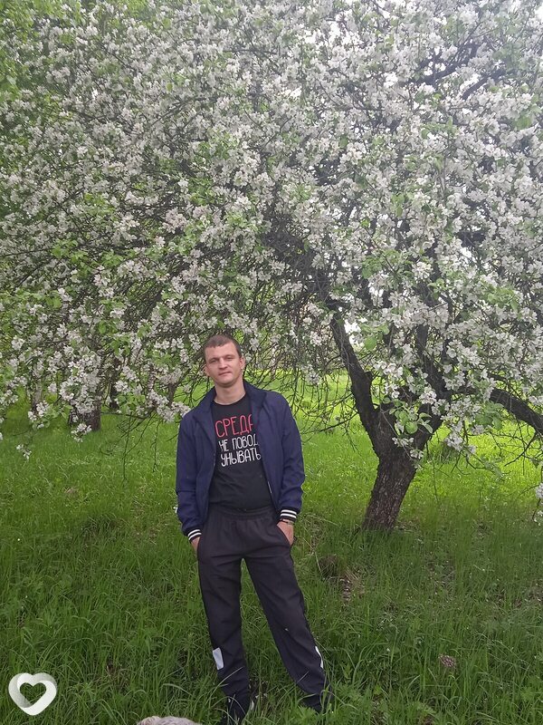 Арт, Сафоново