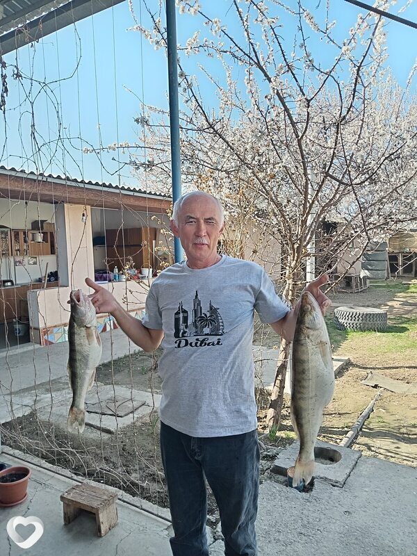 Алик, 62, Шымкенте — анкета №2815181