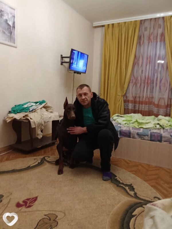 Сергей, 47, Курске — анкета №2815404