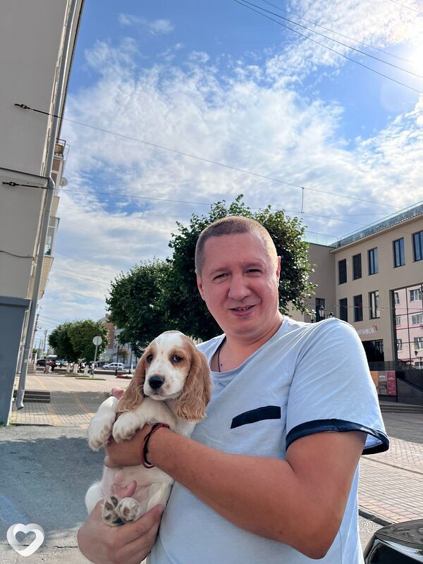 Алексей, 40, Чебоксарах — анкета №2815580