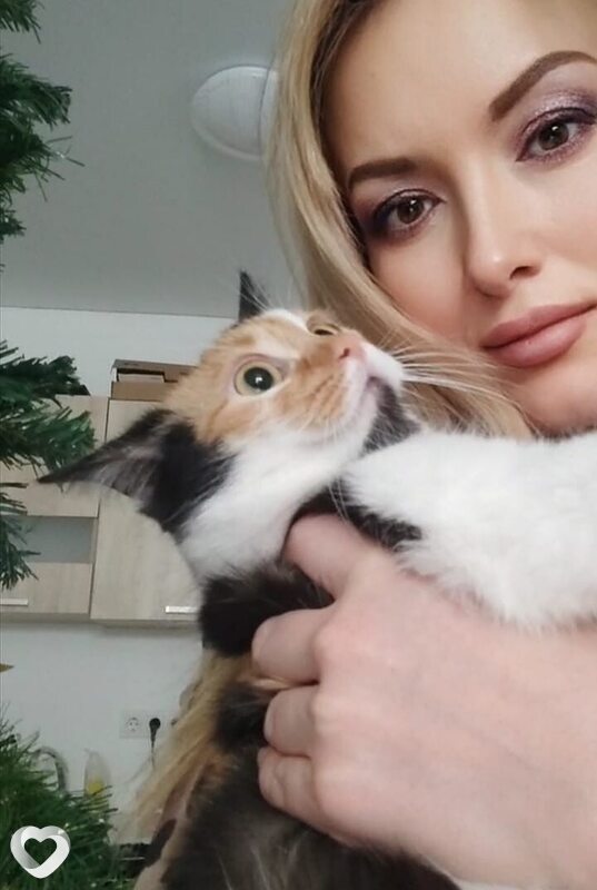 Lilia, 31, Краснодаре — анкета №2815551