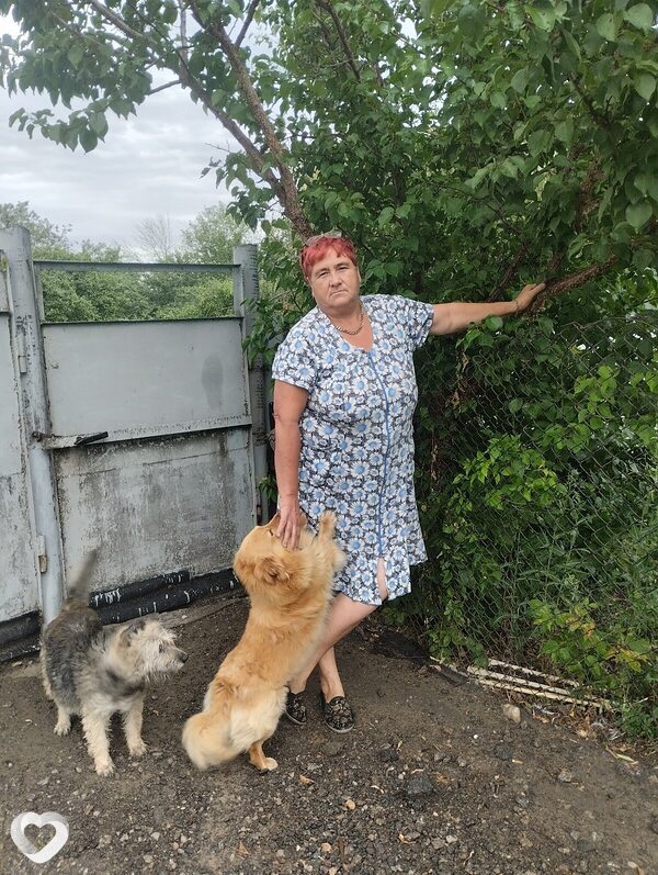 Ирина, 59, Богучаре — анкета №2818660