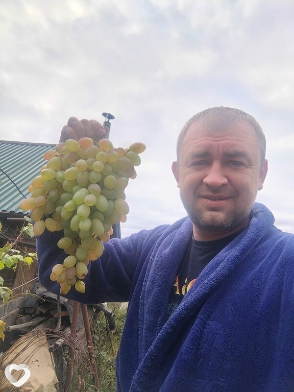 Алексей, 40, Заволжье — анкета №2823379