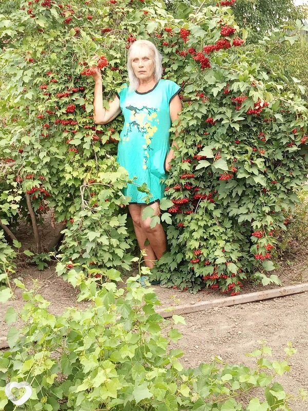 Светлана, 59, Мелитополе — анкета №2828192