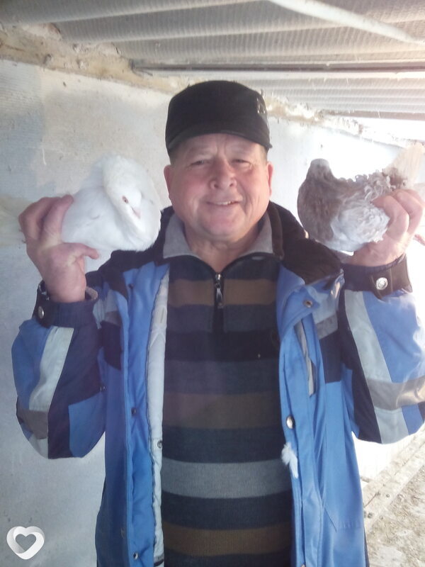 Александр, 64, Волжском — анкета №2829647