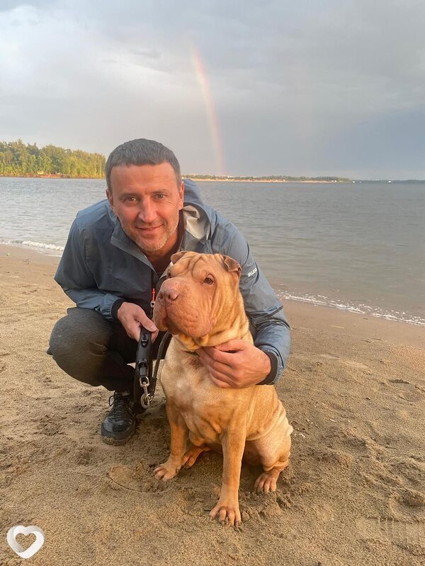 Александр, 39, Самаре — анкета №2833045