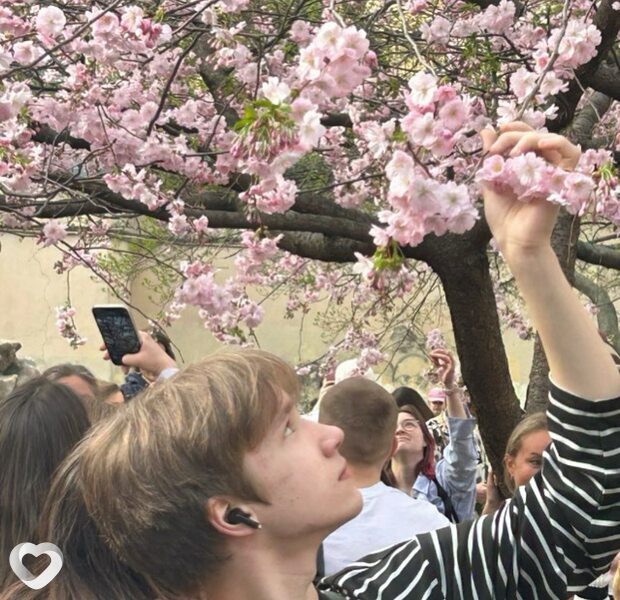 Тёма, 19, Санкт-Петербурге — анкета №2836473