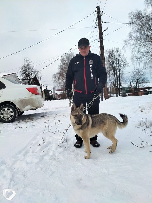 Артем, 36, Нижнем Новгороде — анкета №2845134