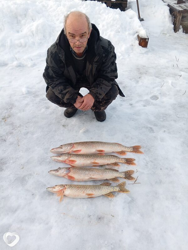 Юрий, 59, Костроме — анкета №2848286