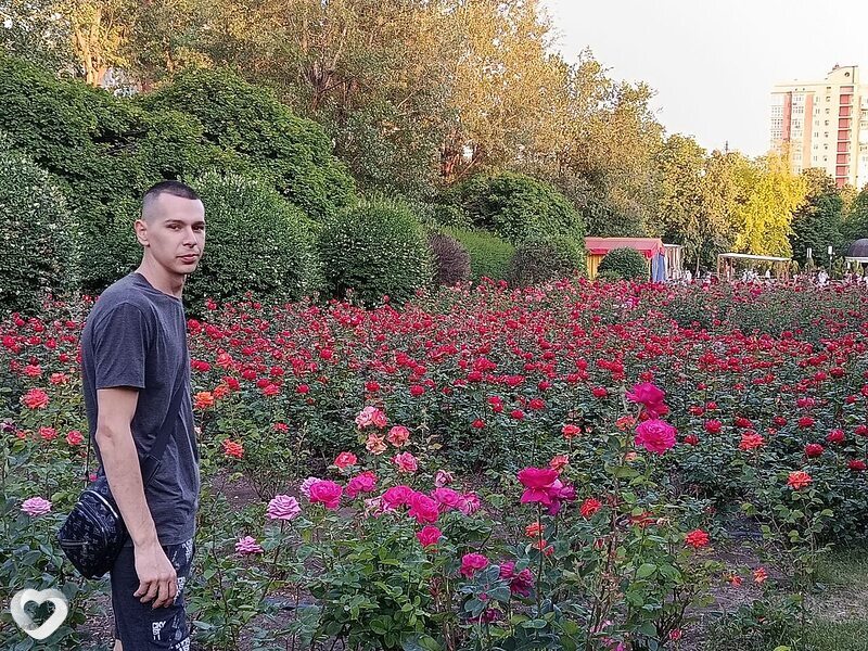 Василий, 27, Ростове-на-Дону — анкета №2848377
