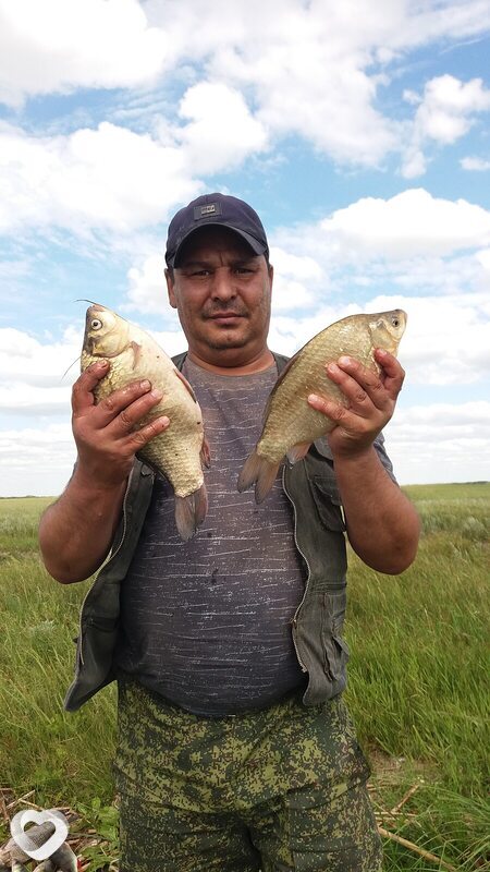Серёга, 51, Атбасаре — анкета №2848665